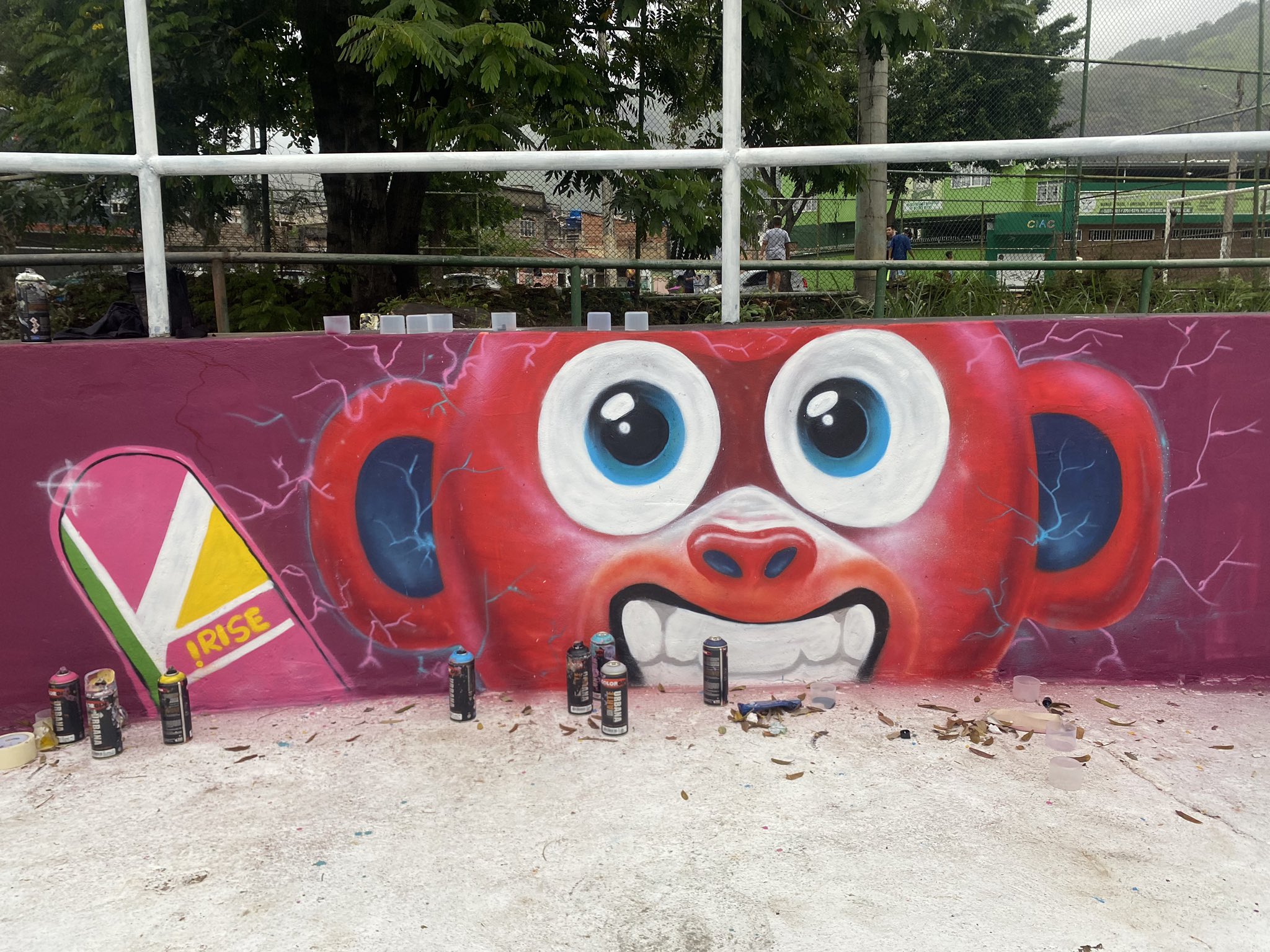 OnChainMonkey Community Members Revitalize Local Skatepark in Brazil with OCM DAO Funding